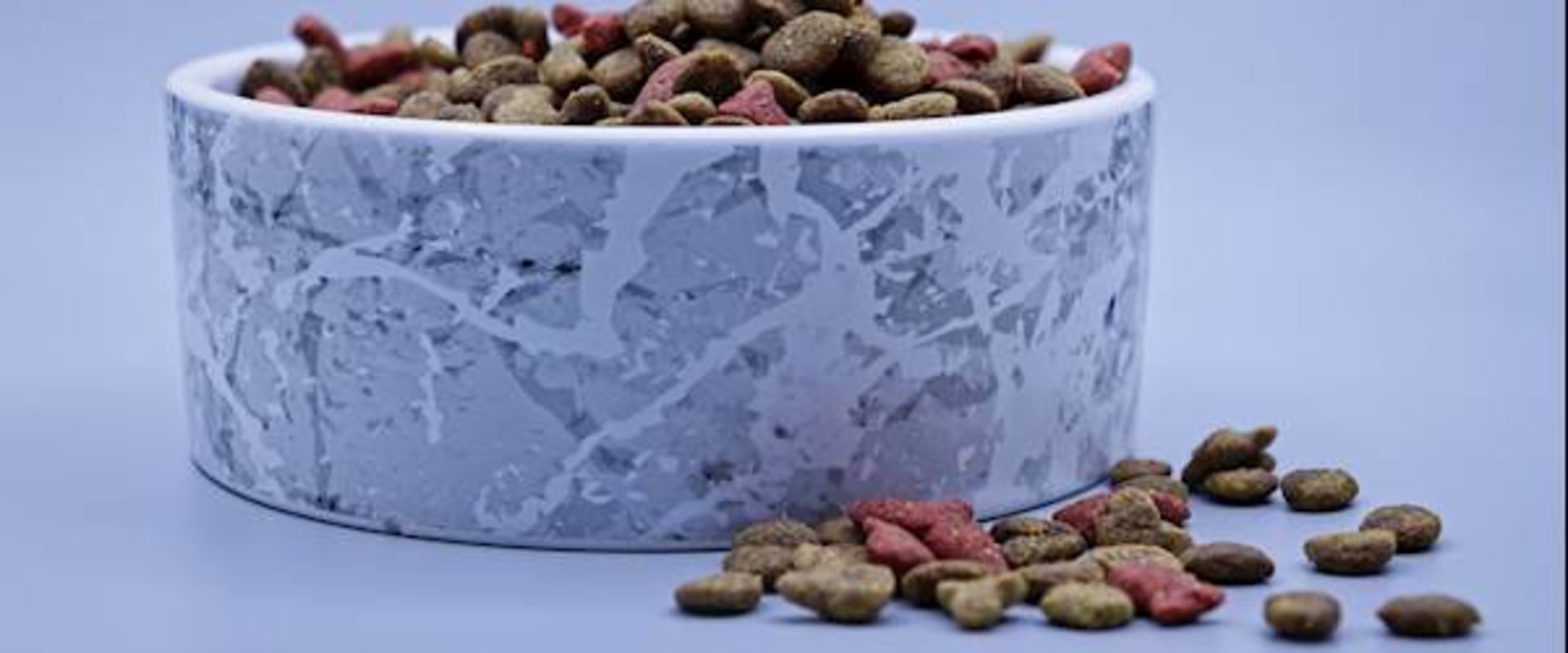 What is the Best Dog Food Recommended by Veterinarians?