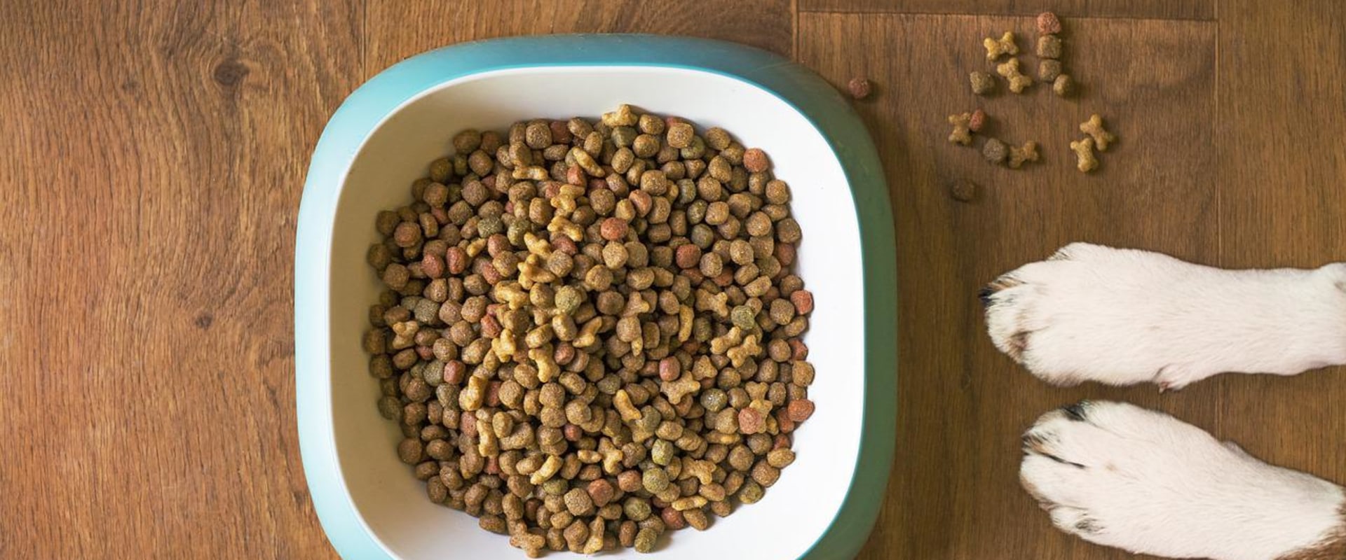 The Best Dried Food for Dogs: A Comprehensive Guide