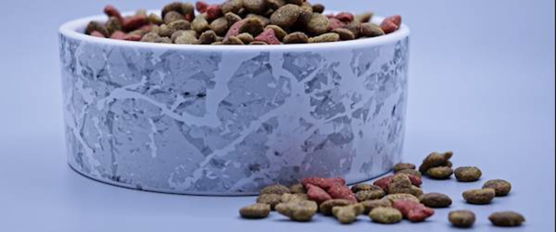 Top 10 Brands of Dog Food: A Comprehensive Guide