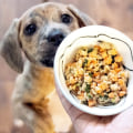 What is the Best Dry Dog Food?