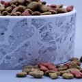 What is the Best Dog Food Recommended by Veterinarians?