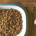 What Are the Different Types of Dog Food and Which Is Best?