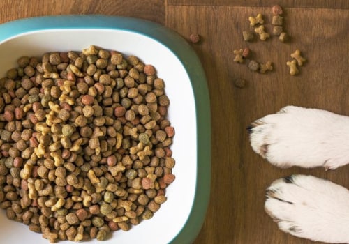 The Best Dried Food for Dogs: A Comprehensive Guide