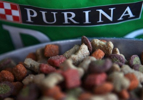 What Dog Food is Killing Dogs? A Comprehensive Guide