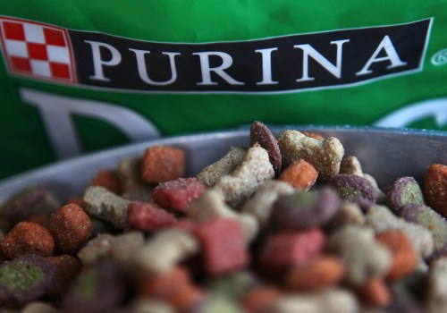 Is Popular Dog Food Killing Our Furry Friends?